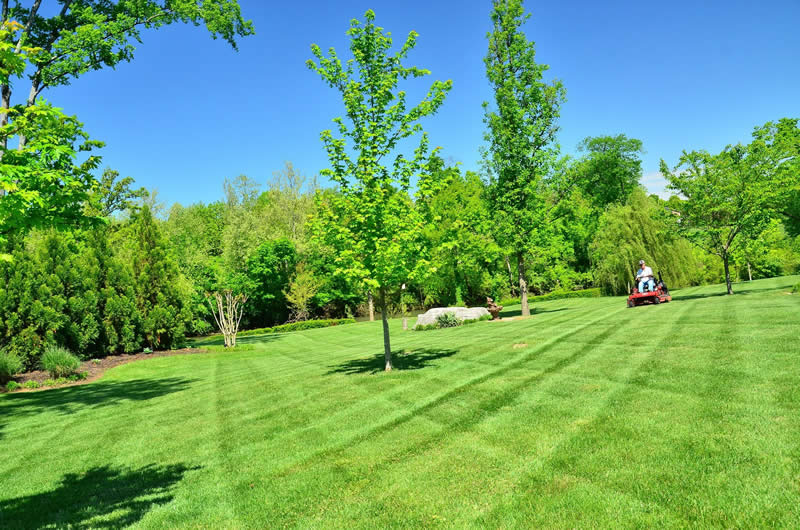 Tipperary Landscaping Lawn Care